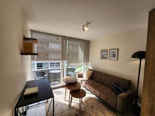 HOM I WiFi, AA, Gym, Lavanderia, Metro Parque Almagro - 8