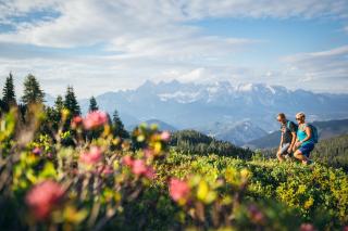 Ferienlodge Edelstein - 7