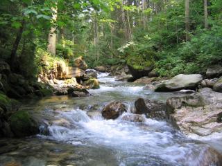 Ferienlodge Edelstein - 5