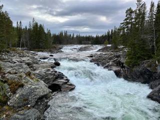 Your Swedish Retreat - 8