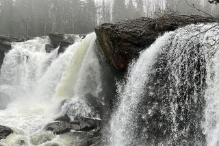 Your Swedish Retreat - Alblasserdam - 4