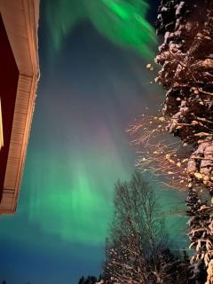 Your Swedish Retreat - Alblasserdam - 1