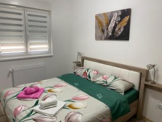 Tri Palme 2 - Banja Koviljača - 1