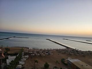 Das Nistkästchen in Hurghada - 7