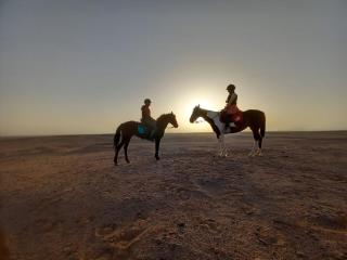 Das Nistkästchen in Hurghada - 1