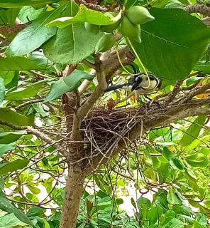 Yuu-Lee Casa Bendita Huatulco - 4