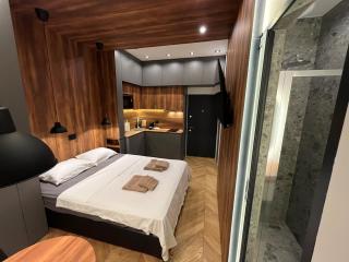 Riverside Heritage Lux and Modern - Sajmište - 7
