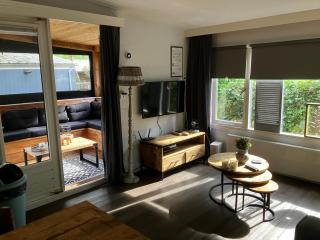 Chalet bosrijk Midden in de natuur-eten&drinken-activiteiten-ontspanning-en nog veel meer - 1