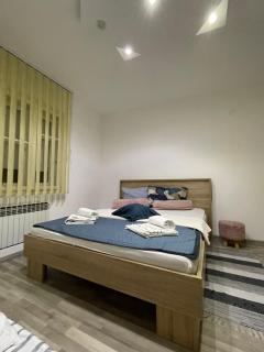 Centar Holiday Smederevo - Smederevo - 3