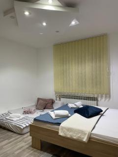 Centar Holiday Smederevo - Smederevo - 5