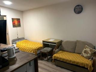 Nowoczesne Studio z ogrodem i parkingiem - Poznan - 2