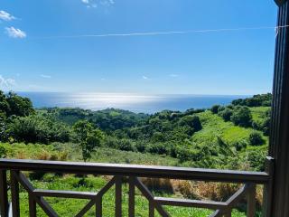 Villa Créole vue exceptionnelle Perle des Hauteurs - Le Carbet - 3