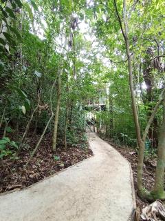 Jungle Living Tree Houses - Monteverde - 8