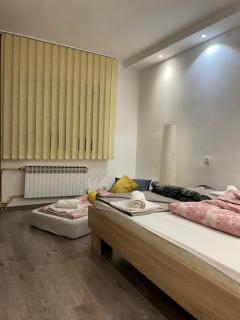 Centar Holiday Smederevo - Smederevo - 9