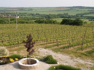 Penzion Mušlov - Mikulov - 5