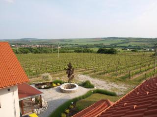 Penzion Mušlov - Mikulov - 1