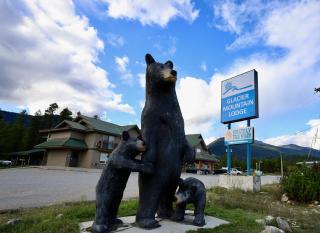 Glacier Mountain Lodge - Blue River - 9