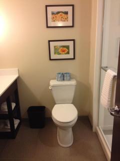 Comfort Suites-Youngstown North - Youngstown - 4