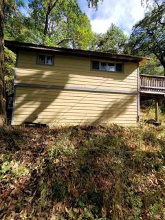 Cabin on Avenue of the Giants - - 1