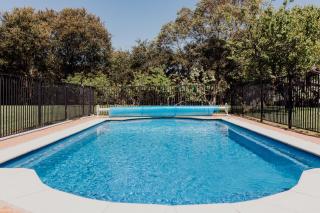 St Helens shack with pool and water views - St Helens - 9