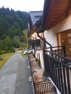 Cabana Albu - Statiunea Borsa - 0