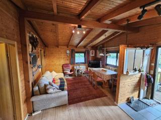 Ferienhaus Waldgefluester - 1