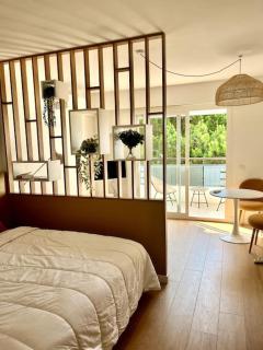 Studio calme avec vue sur un grand Pin parasol - 0