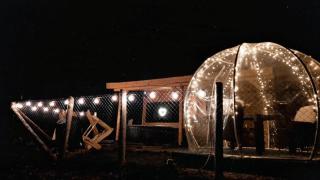 Tiny House Colibita - Colibiţa - 8