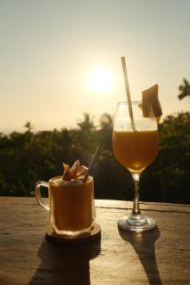 Jungle KingDomes Guest House - Siquijor - 2