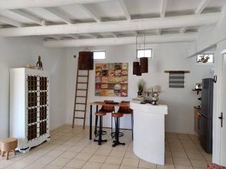 Superbe mazet en Camargue, jardin, parking, terrasses, climatisation, internet - Saintes-Maries-de-la-Mer - 7