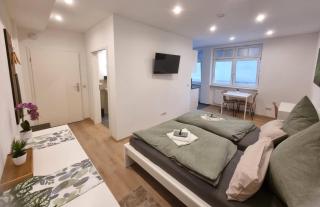 Wohnung Inn - im Zentrum, Küche, Parkplatz, ruhig gelegen - Passau - 0