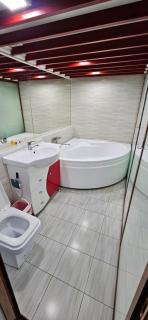 Rudaki apartment 2 комнатная квартира - 8