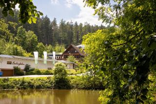 Waldhotel Ehrental - Schmalkalden - 8