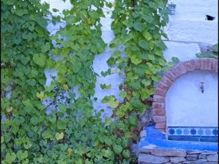 Cortijo Rural Andalusí - Órgiva - 8