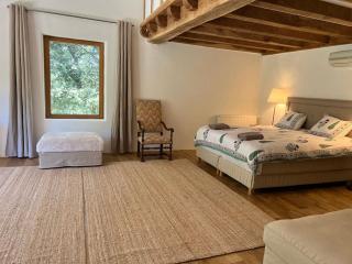 DREAM HOUSE in front of CHATEAU DE BEYNAC in Perigord , Dordogne - Beynac-et-Cazenac - 3
