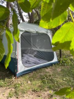 Camping Baleia - Pui - 6