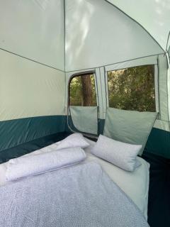 Camping Baleia - Pui - 4
