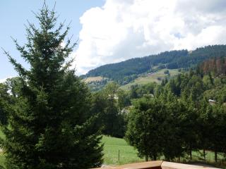 Appartement Panthère - Demi-Quartier - 3