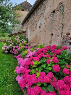 La Saugeraie - Étrigny - 6