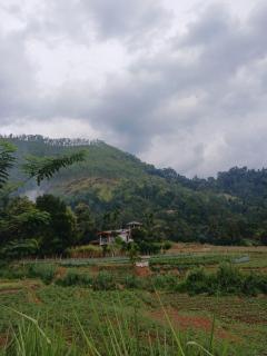 Ella Aman Vanicia Resort - 0