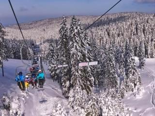 Rogla - Chalet Mojca Pokrajculja - Zreče - 3