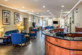 Comfort Suites Near Texas State University - San Marcos - 6