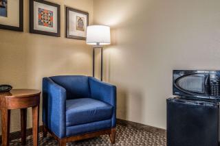 Comfort Suites Near Texas State University - San Marcos - 2