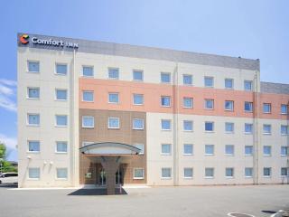 Comfort Inn Munakata - Munakata - 0