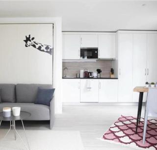 Modern Smart Studios with Prime City Center Location - AL9 - Lausanne - 2