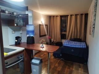 Andina suite 3 departamento de 1 dormitorio - 7