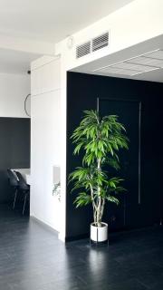 HANZA Black & White 17th floor SPA & Pool Free Parking by Stayly - Stettin - 5