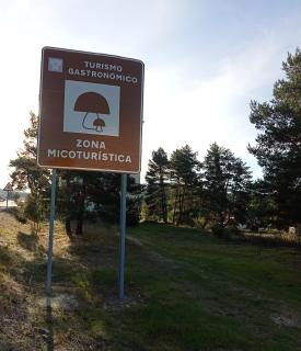 El descanso de las hadas - San Leonardo de Yagüe - 4