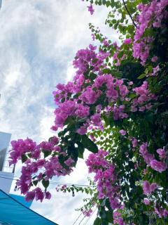 Vya homestay Huế II - 7