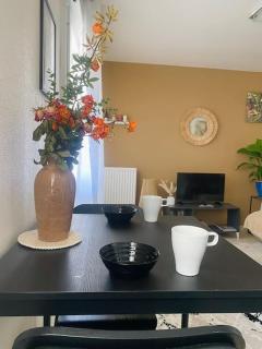 Cozy place near Paris - Montigny-le-Bretonneux - 9